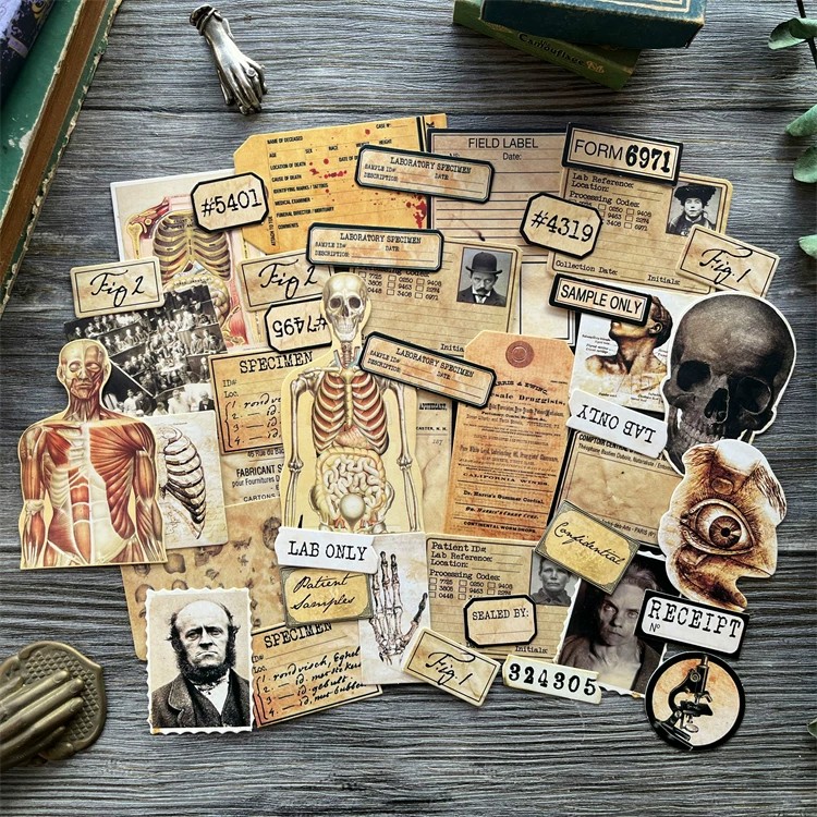 DIY スクラップブッキングヴィンテージ人形素材生地解剖学恐 - Photography Journal のレビューと価格