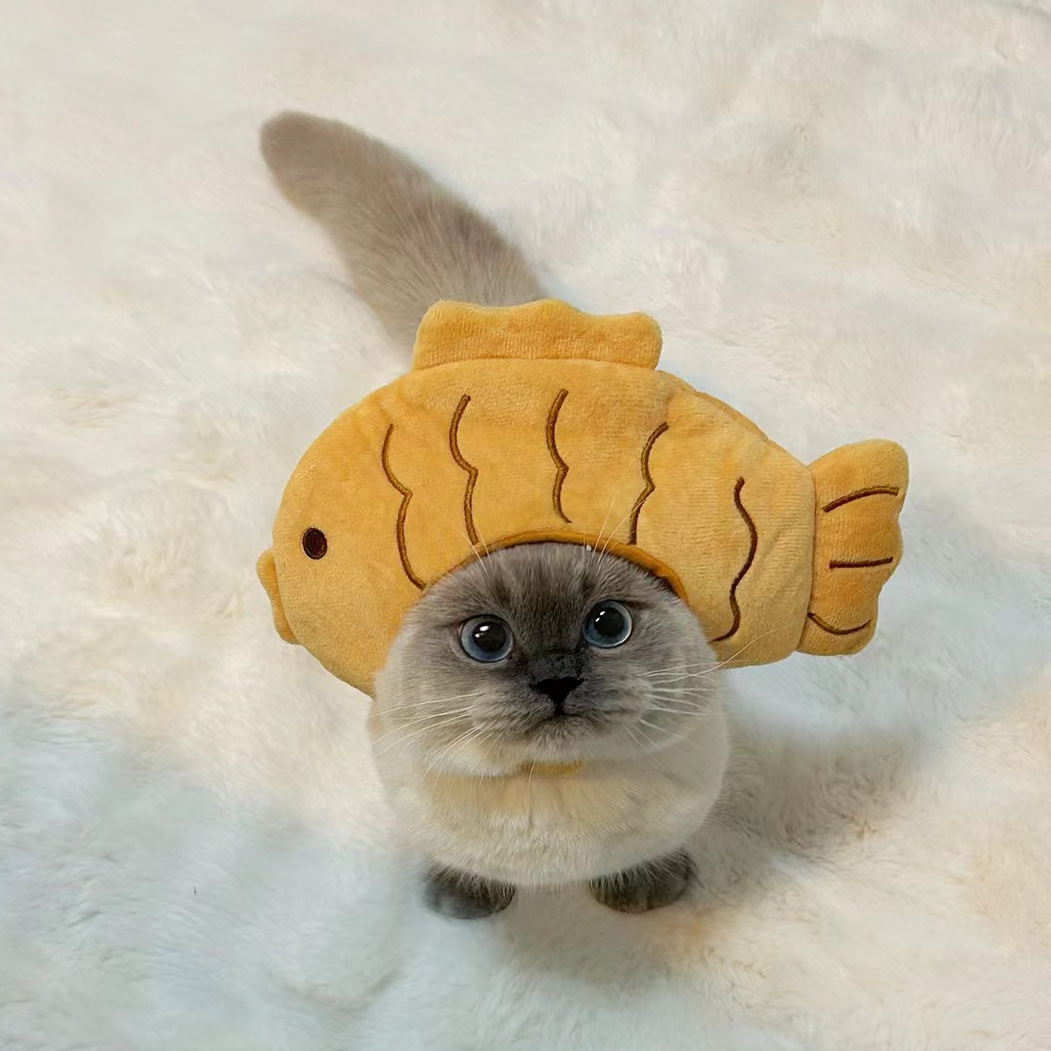 1個入り 興味深いペット用帽子 - ぬいぐるみ織り猫と犬の帽 - Photography Interest のレビューと価格