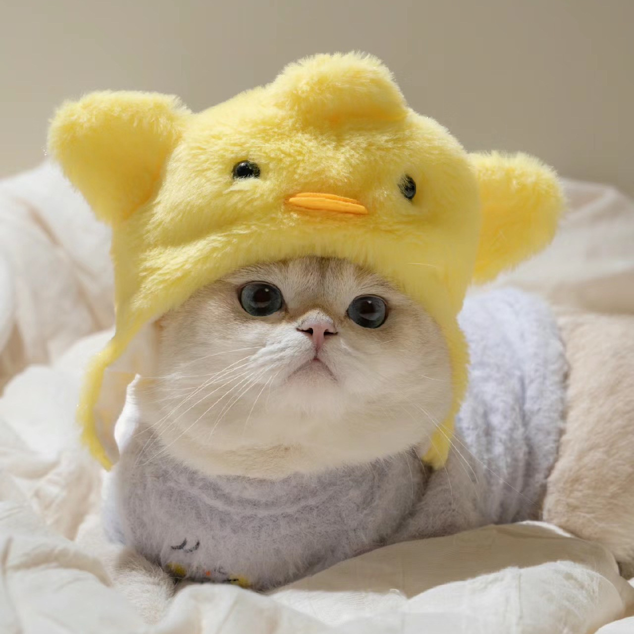 1個入り 興味深いペット用帽子 - ぬいぐるみ織り猫と犬の帽 - Photography Interest のレビューと価格